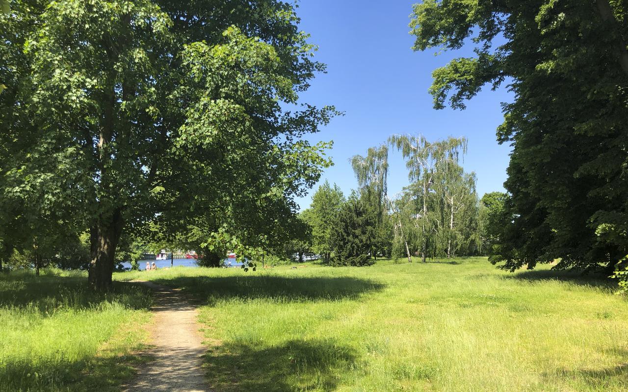 Park Penthouses Insel Eiswerder By Suite030 Berlim Exterior foto